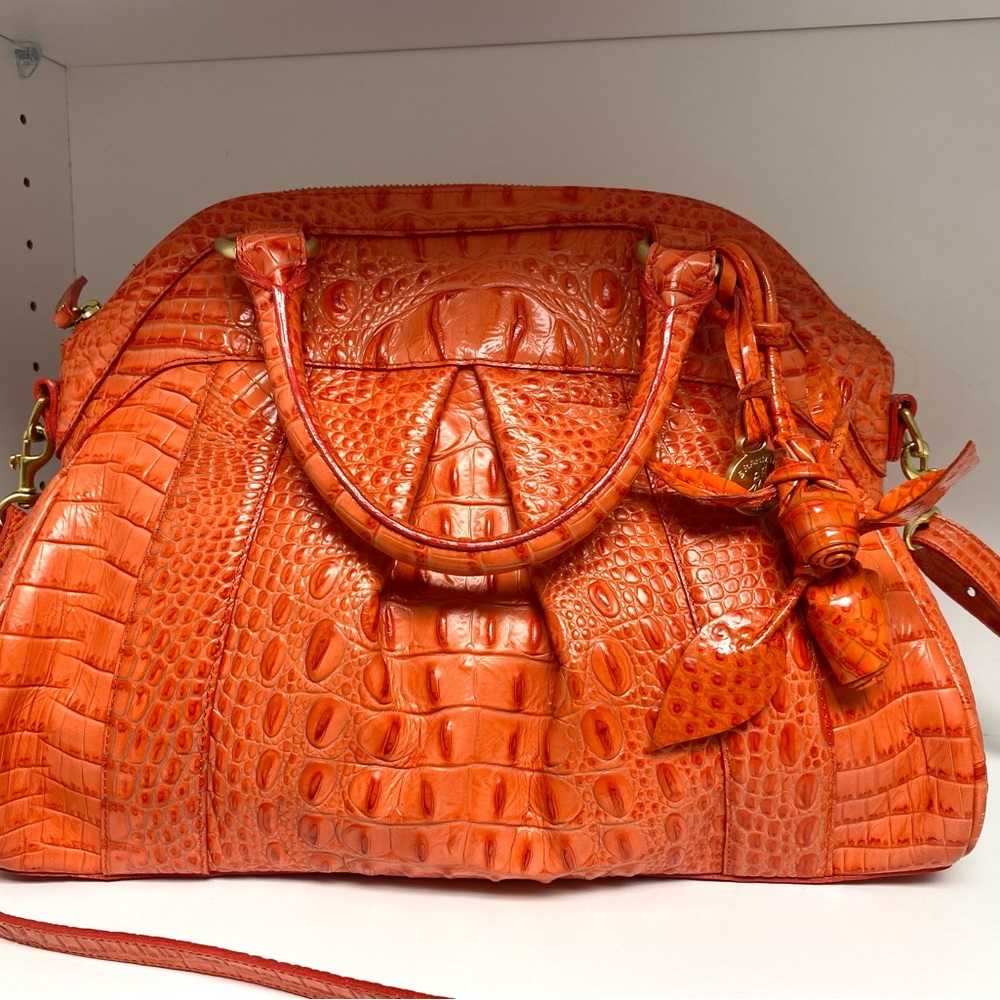 Brahmin Louise Rose